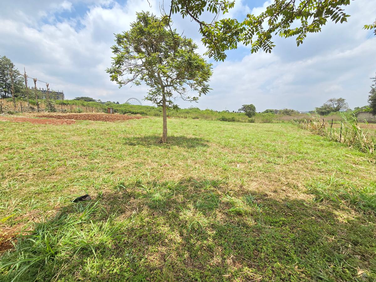 Residential Land at Runda Garden - 3