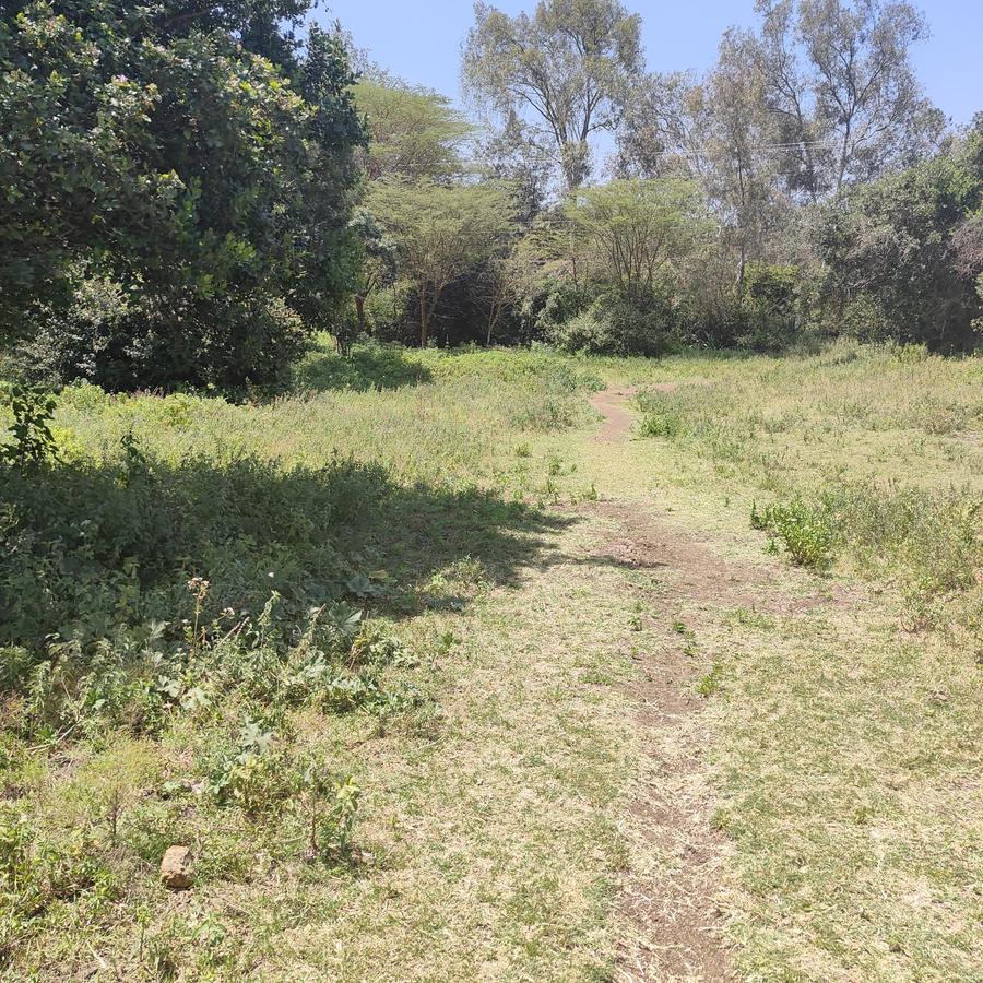 1 ac Land at Ndovu Road - 6