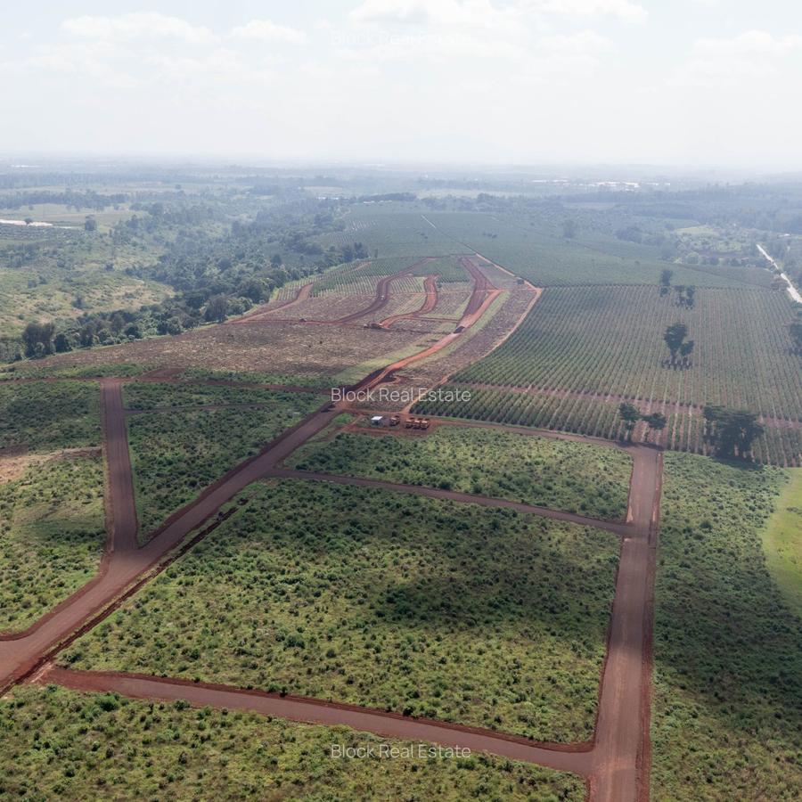 0.125 ac Residential Land in Juja - 4
