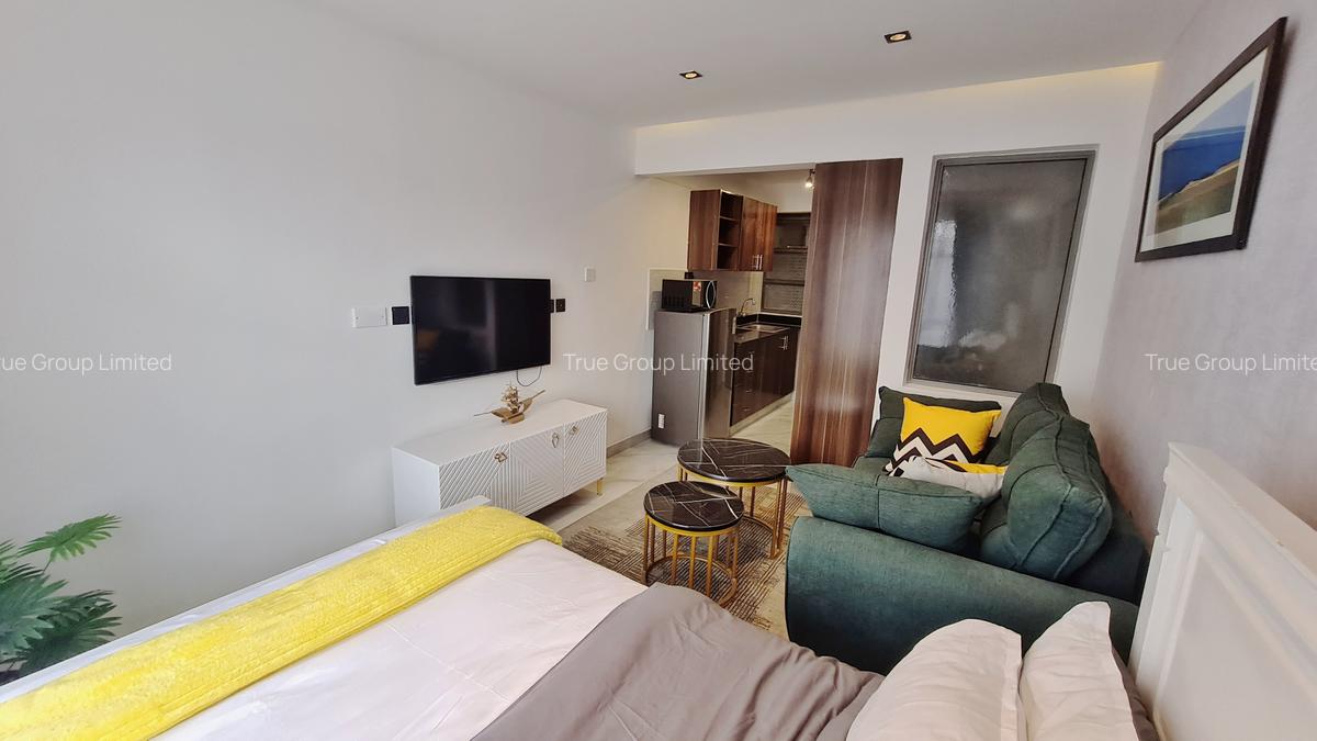 Serviced Studio Apartment with Gym at Off Naivasha Road - 5