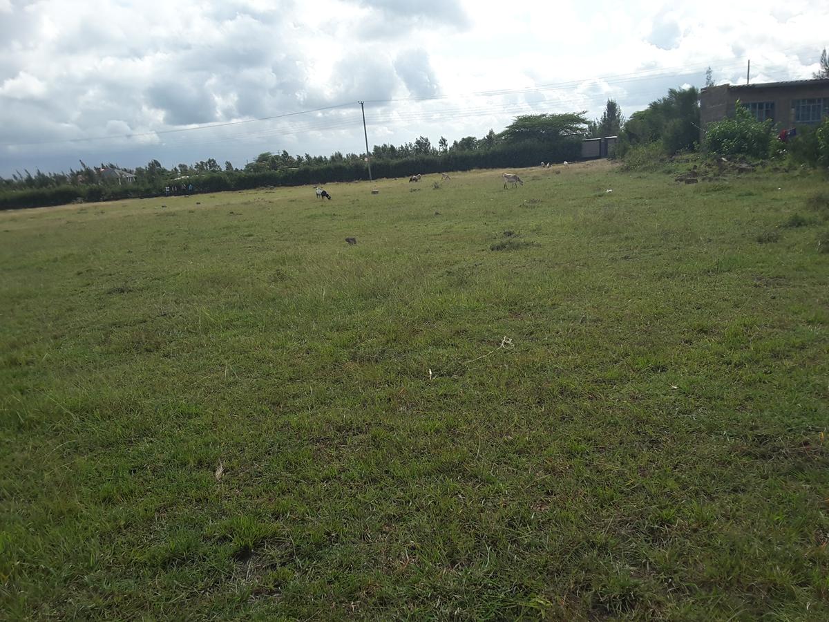 1 ac Residential Land in Ongata Rongai - 13