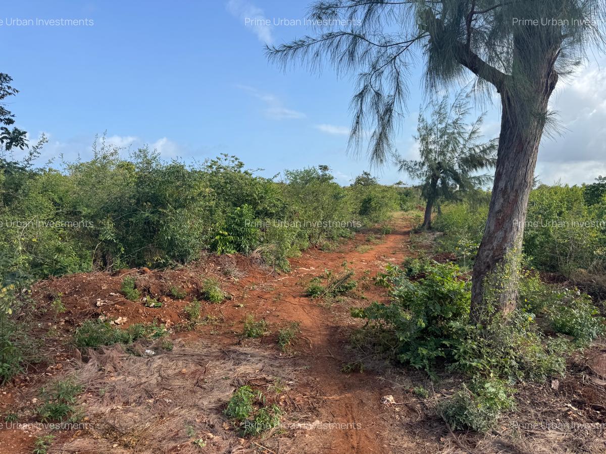 6 ac Land in Kilifi - 12