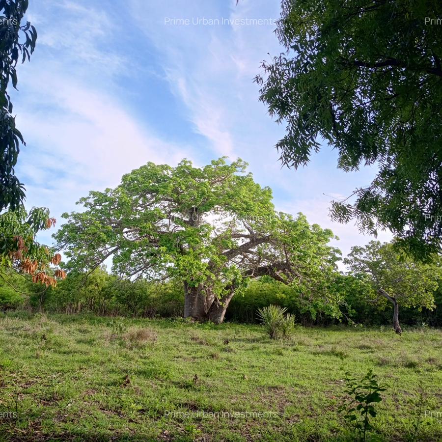 90 ac Residential Land at Kuruwitu-Vipingo - 1