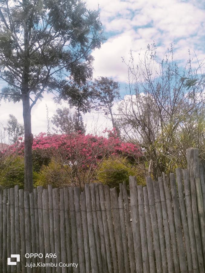 Residential Land in Juja Farm - 18