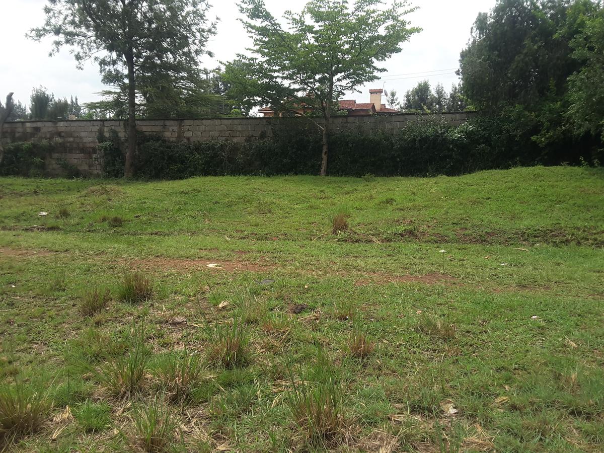 0.5 ac Residential Land in Karen - 8