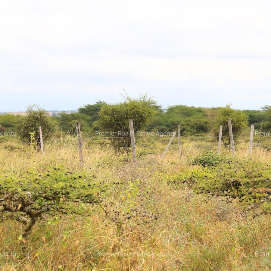 0.125 ac Residential Land at Kitengela - 8