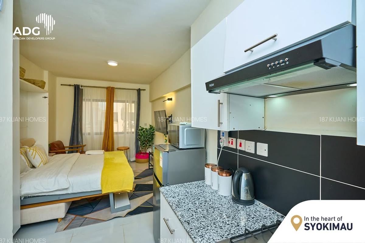 Serviced Studio Apartment with En Suite at Syokimau - 4