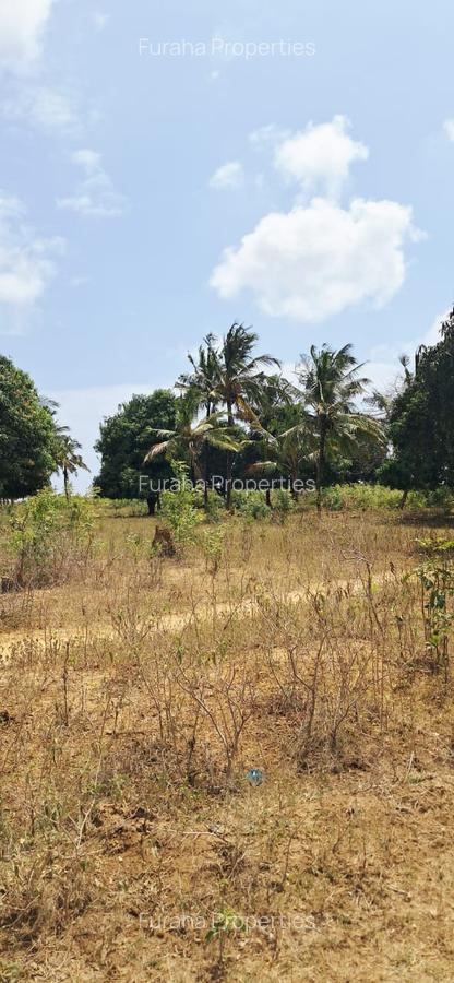 Land in Kilifi - 12