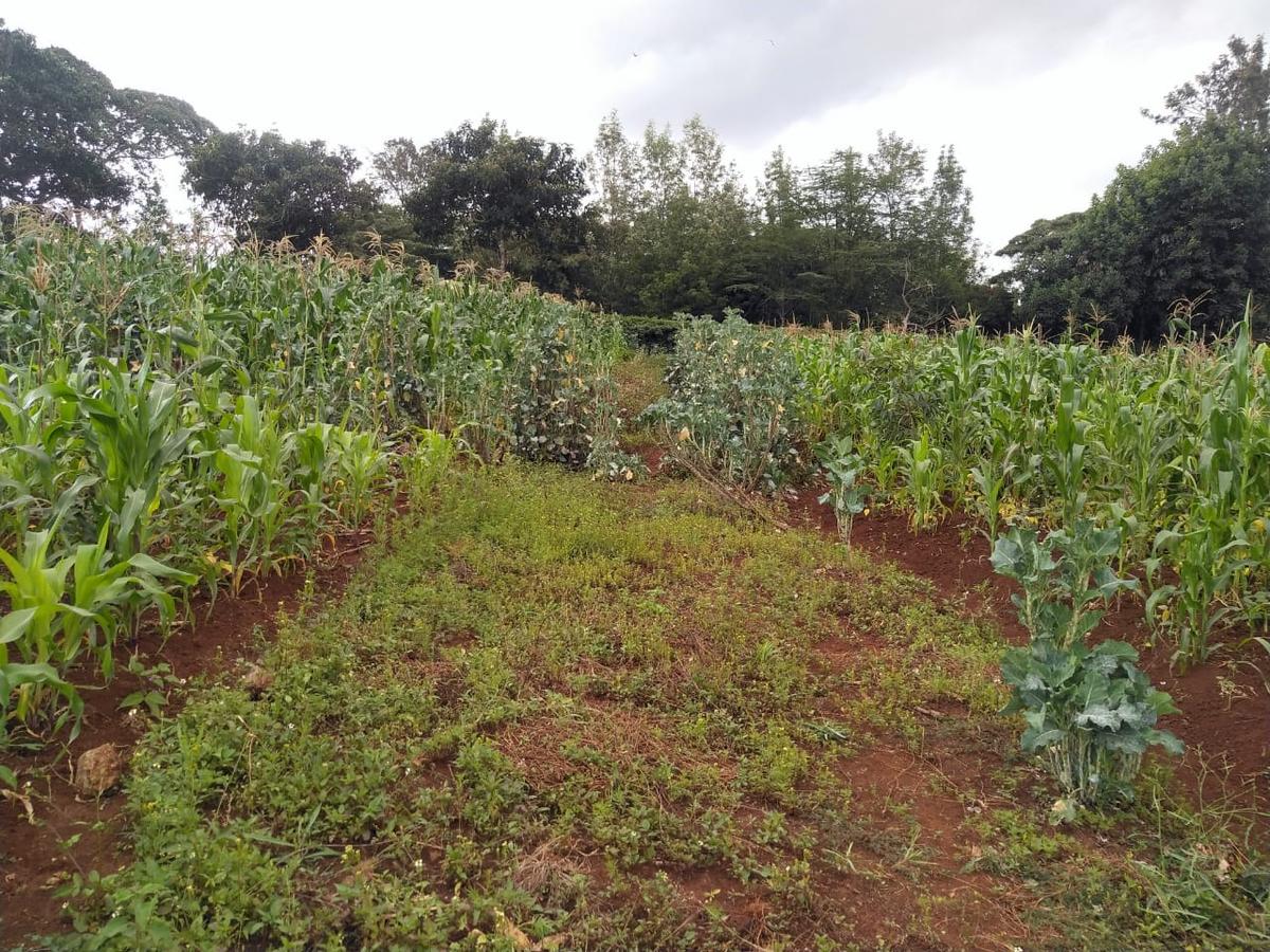 0.113 ac Residential Land in Ngong - 7