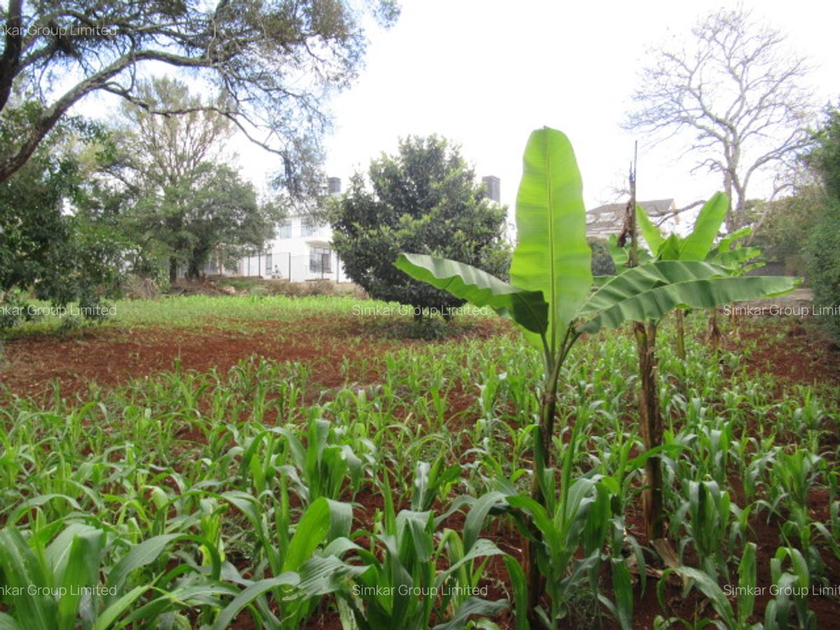 Residential Land at Karen Hardy - 10