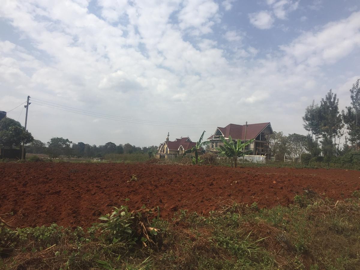 10,000 ft² Residential Land at Mhasibu Gardens Silver Birch Ruiru - 7