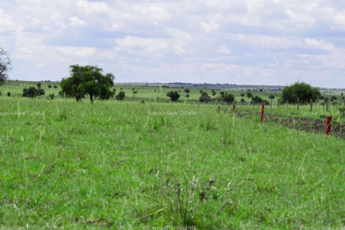 Residential Land at Kitengela Ostrich Farm - 4