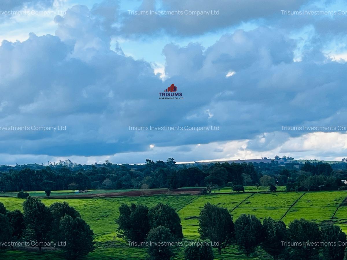 40 ac Land in Limuru - 4