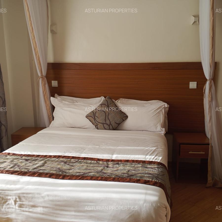 Serviced 1 Bed Apartment with En Suite in Kiambu Road - 7