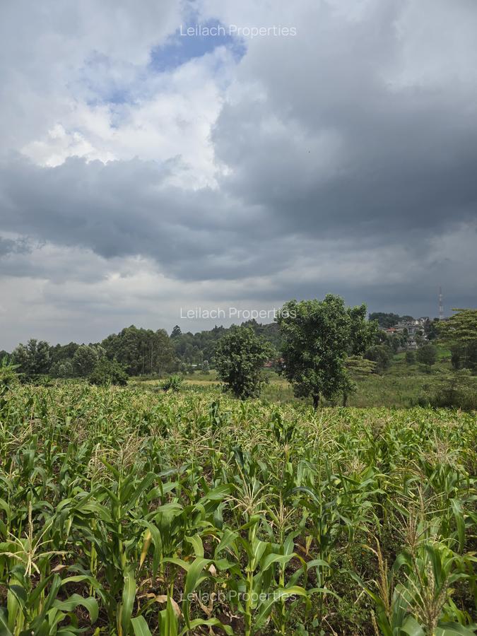 0.25 ac Residential Land in Ngong - 1