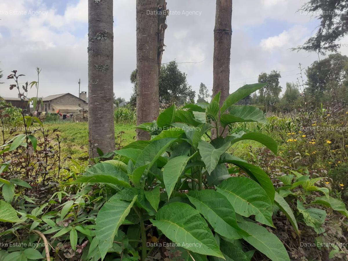 0.25 ac Land at Njabini Town - 7