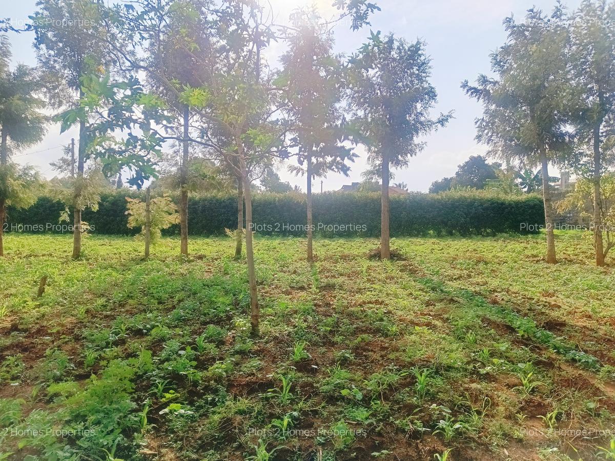 500 m² Residential Land at Nairobi Ndogo Estate - 11