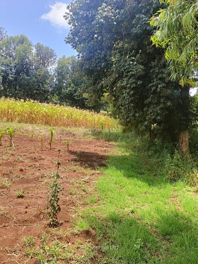 Land at Kibirichia - 12