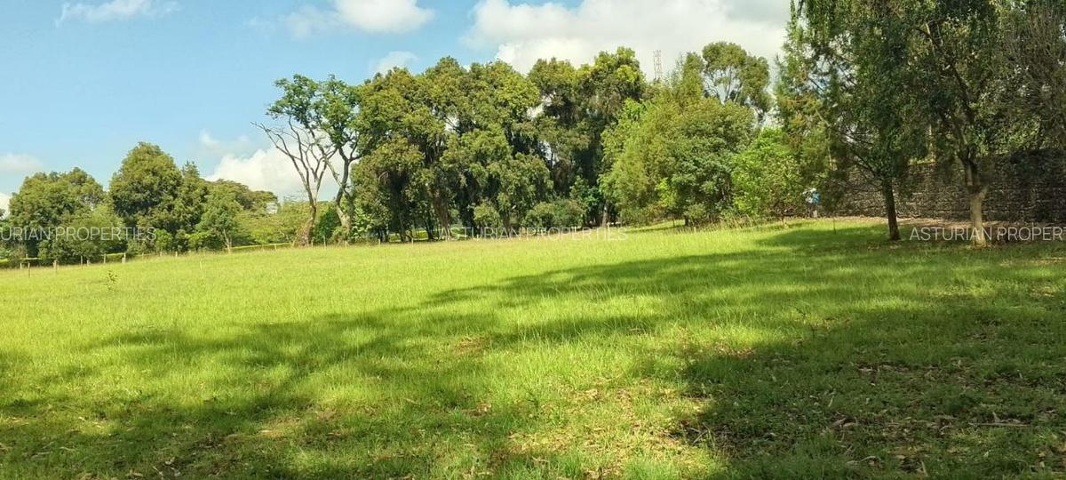 0.25 ac Land in Runda - 6