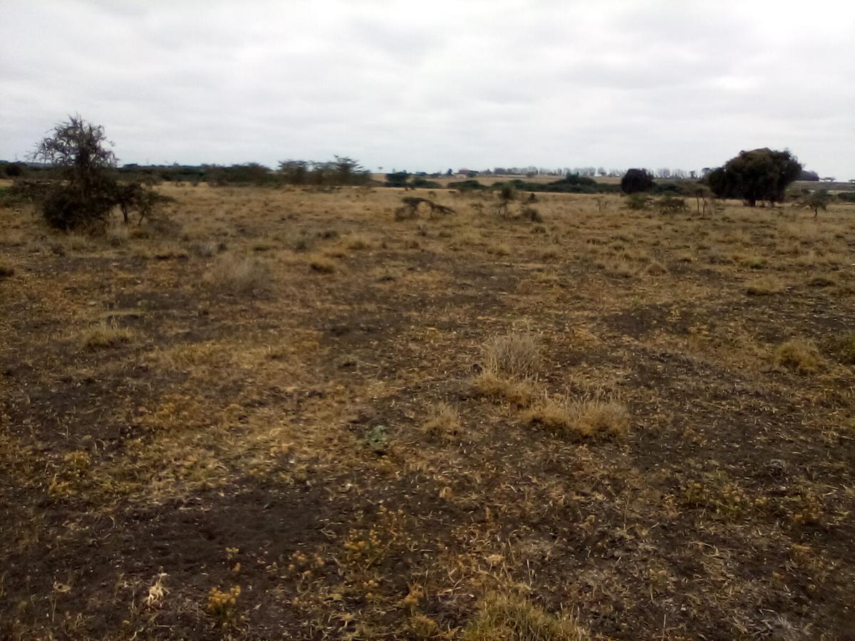 30 ac Land at Off Namanga Rd - 11