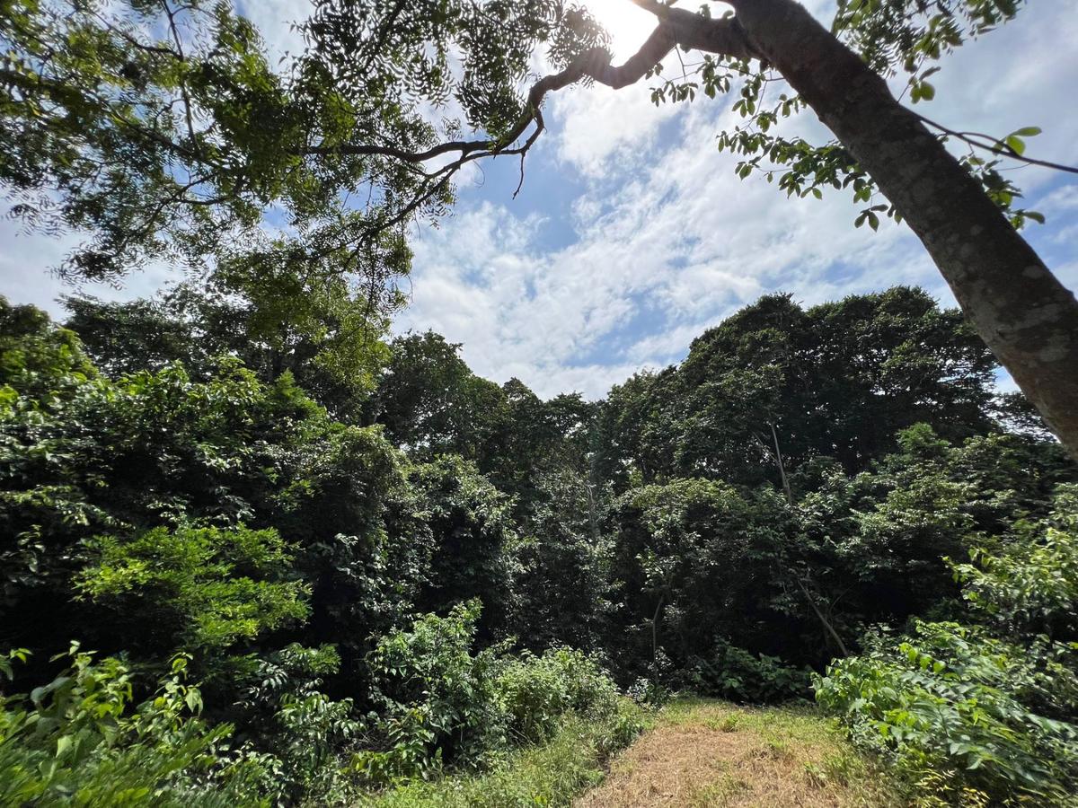 Land in Diani - 5