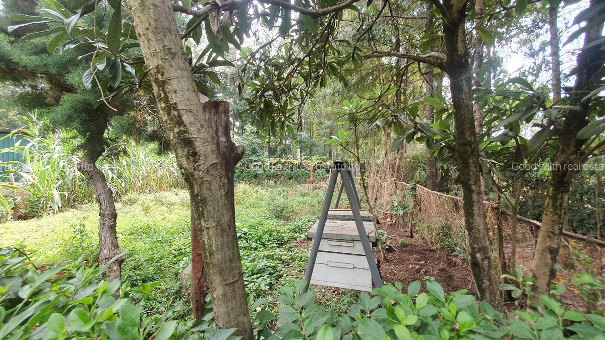 4 Bed House with En Suite in Karen - 8