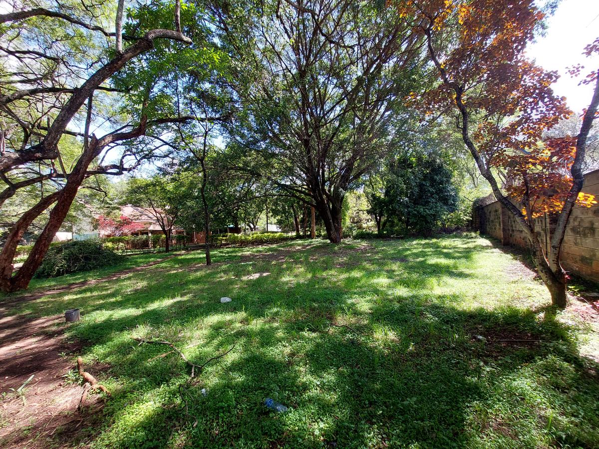 Residential Land at James Gichuru - 14