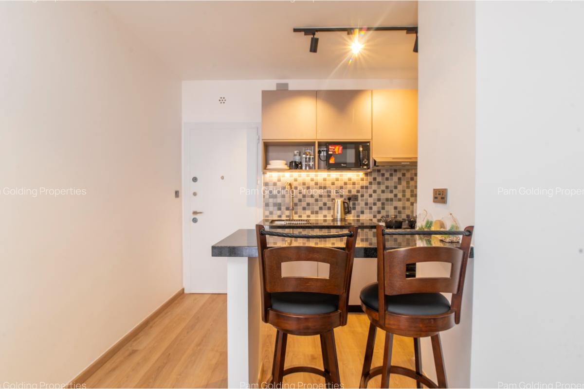 Furnished 1 Bed Apartment with Swimming Pool at Tatu City - 7