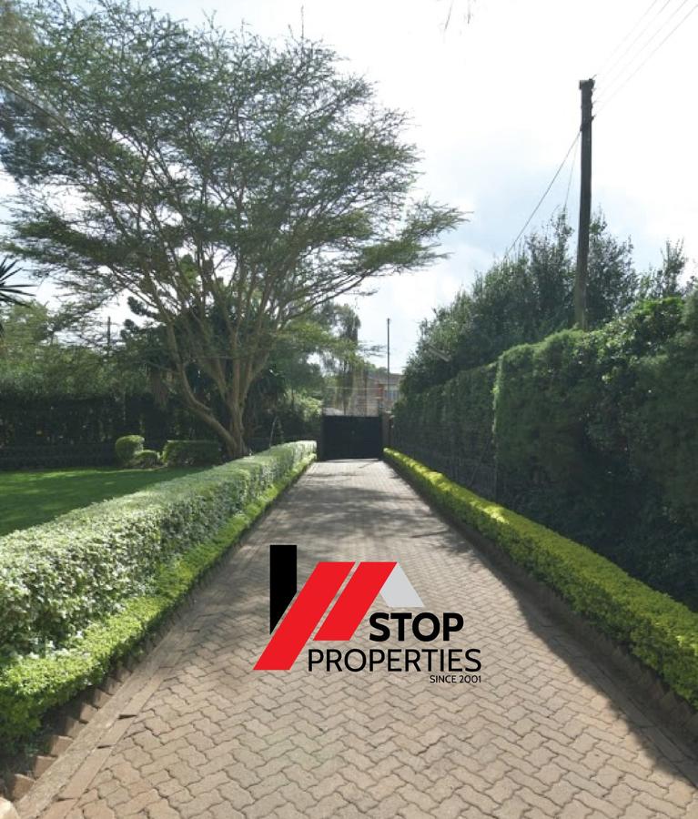 Commercial Property with Parking in Ngong Road - 3