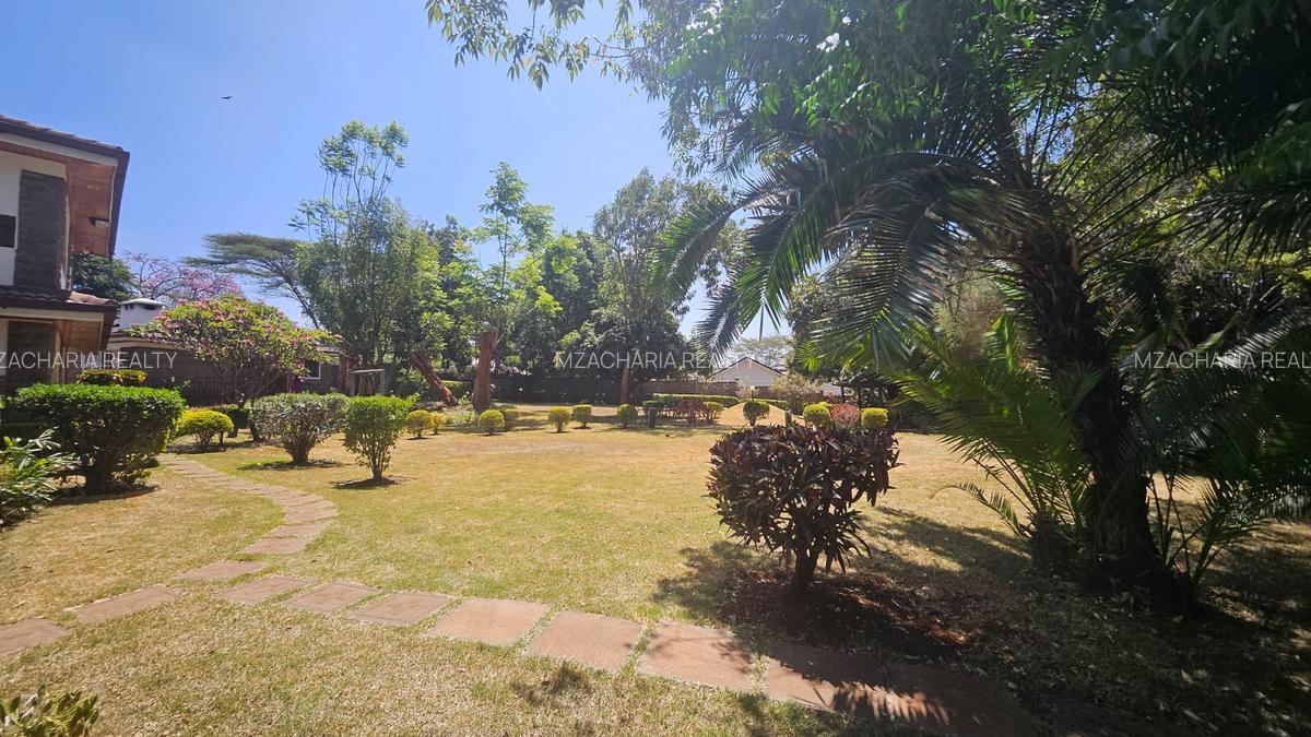 1 ac Commercial Property with Backup Generator in Lavington - 3