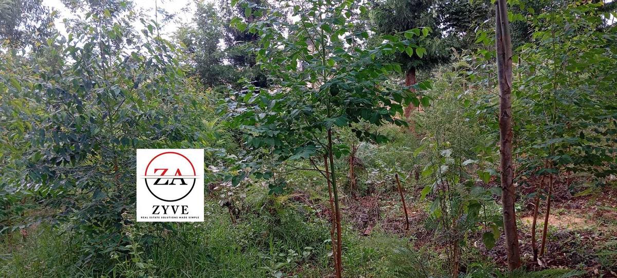 0.125 ac Land at Kasphat Estate - 9