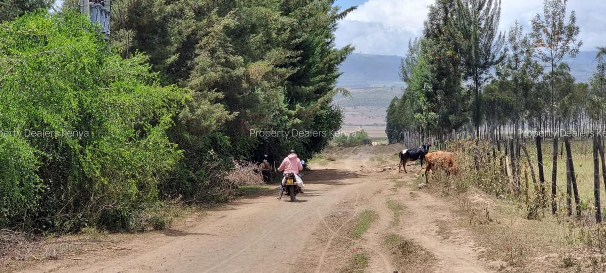 Residential Land at Moi South Lake Road - 5