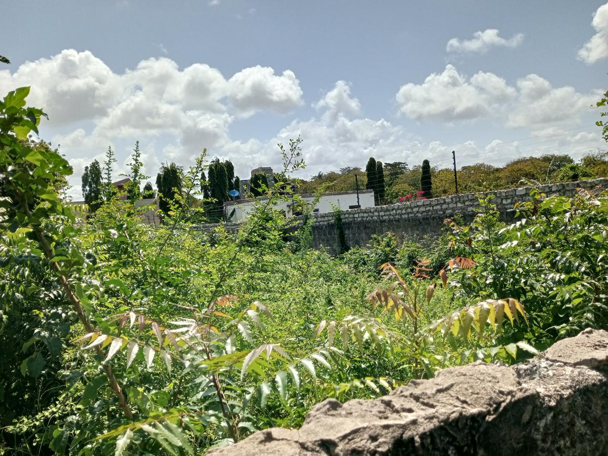 Residential Land at Shanzu - 5