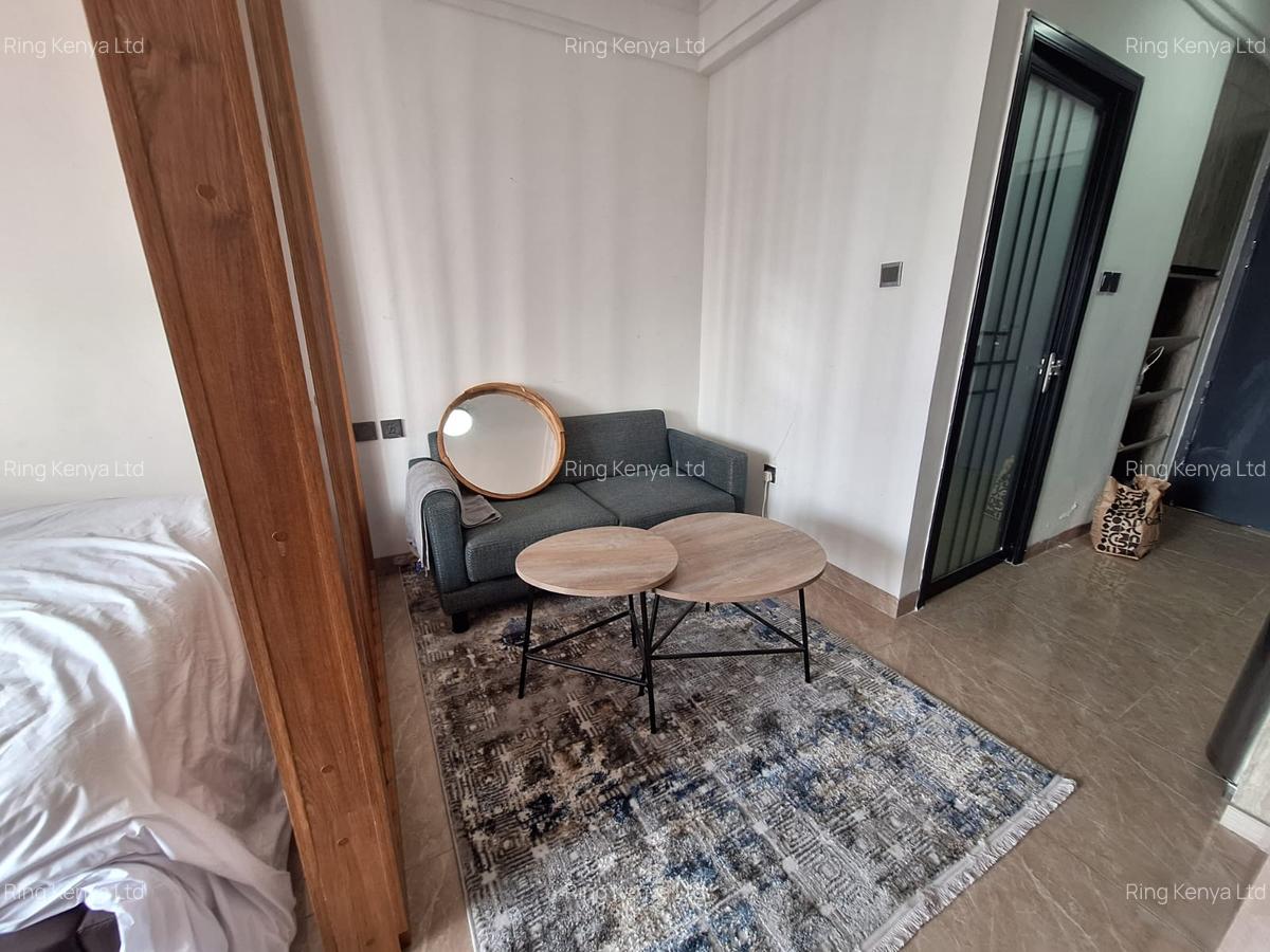 Serviced Studio Apartment with Swimming Pool in Kilimani - 10