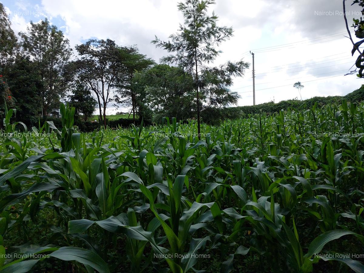 Land at Kirawa Road - 6