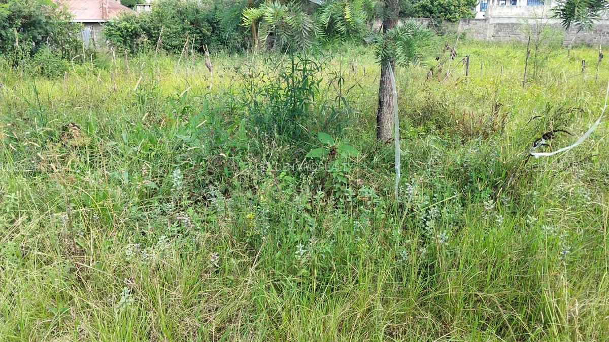 Land in Karen - 2