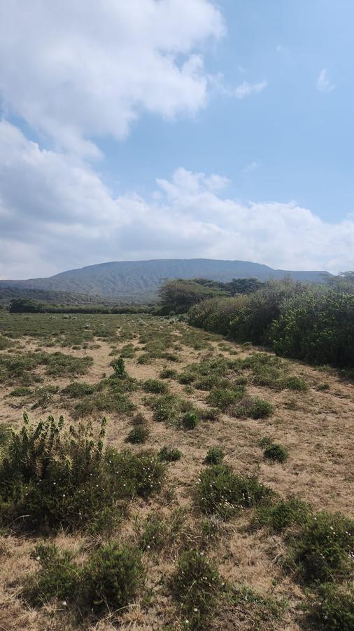 31 ac Land at Longonot Town - 1