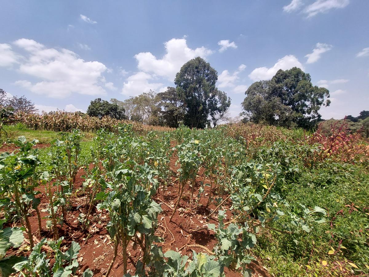 Residential Land at Kinanda Road - 10