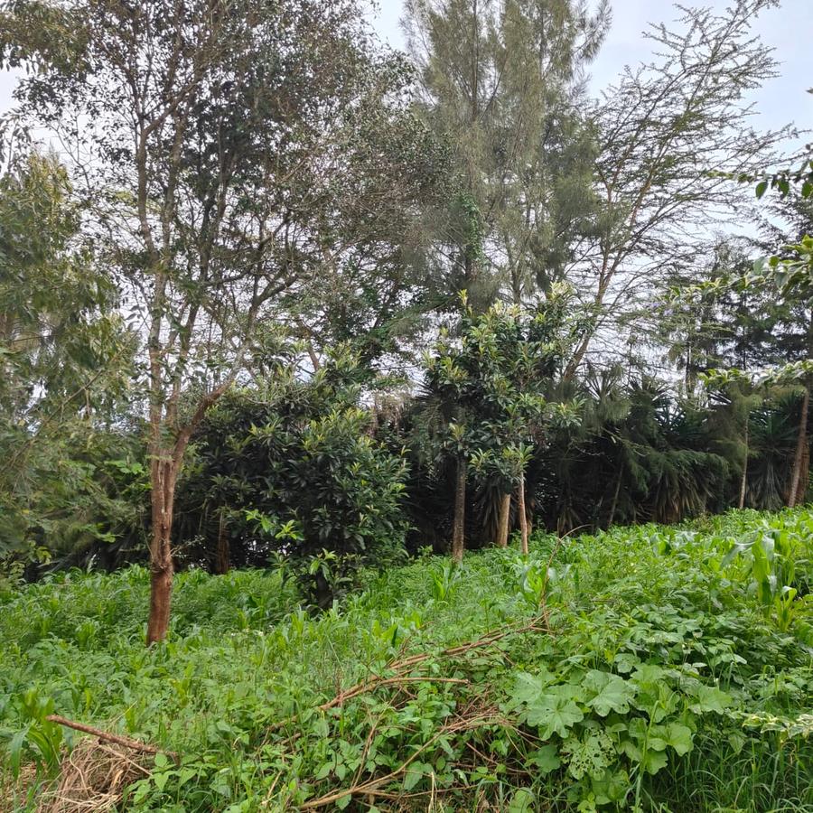 1 ac Land at Ngong - 18