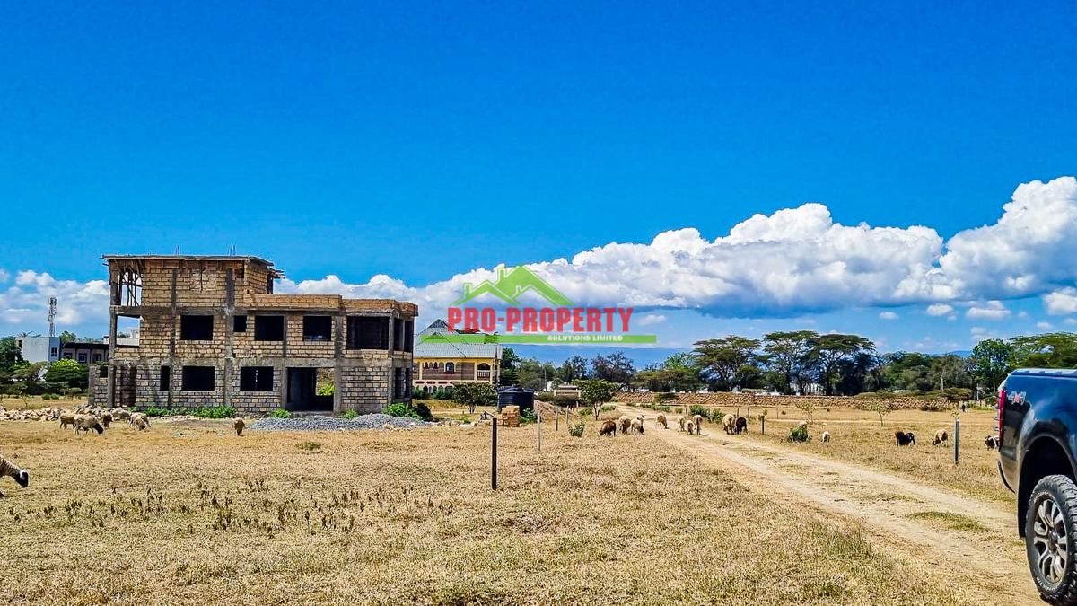 0.05 ha Residential Land in Naivasha - 10