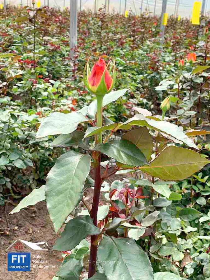 120 ac Land at Nyandarua County - 8