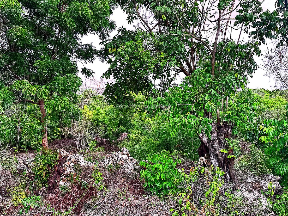 2,010 m² Residential Land at Second Row Kuruwitu Beach - 1