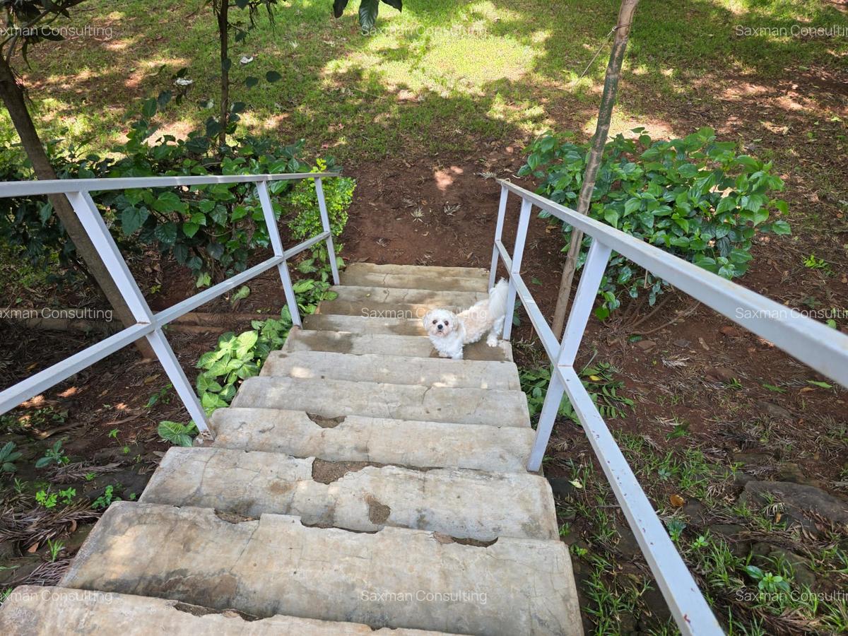 3 Bed House with Staff Quarters in Upper Hill - 8
