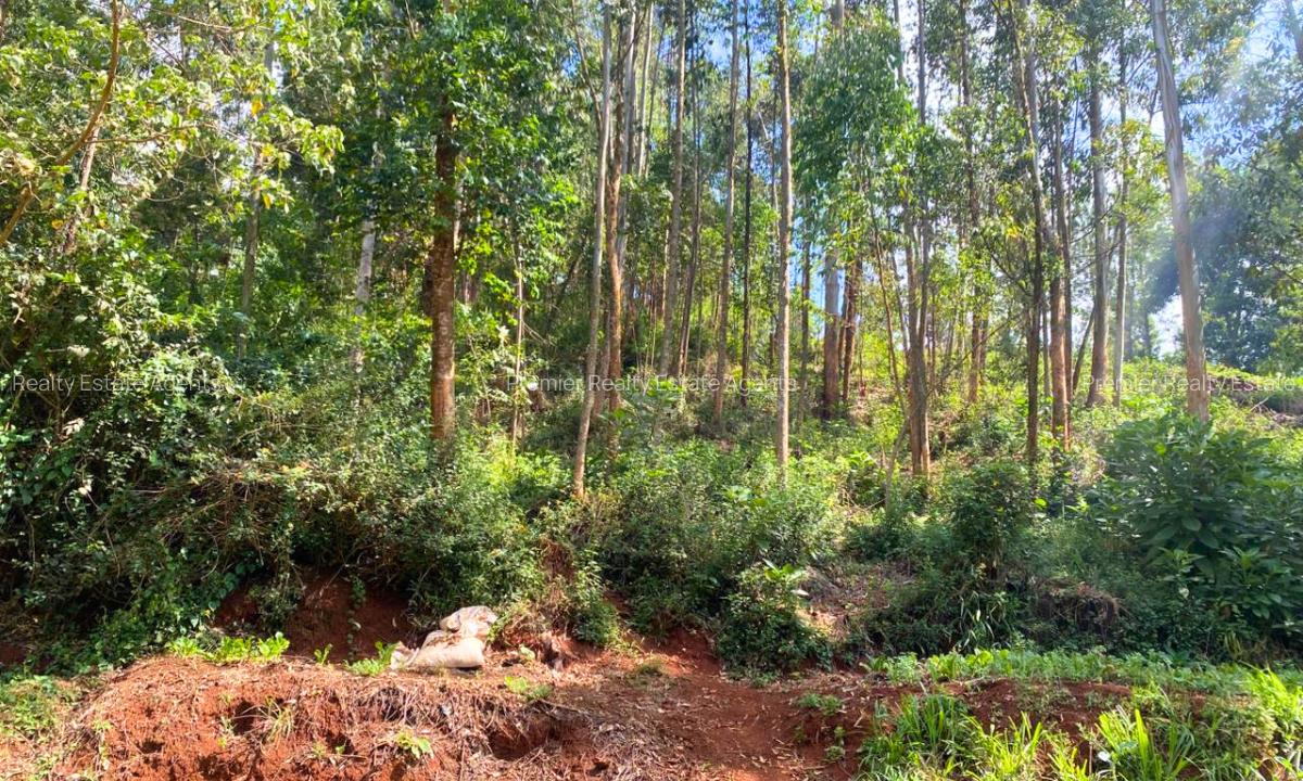 1 ac Land at Muchatha - 6
