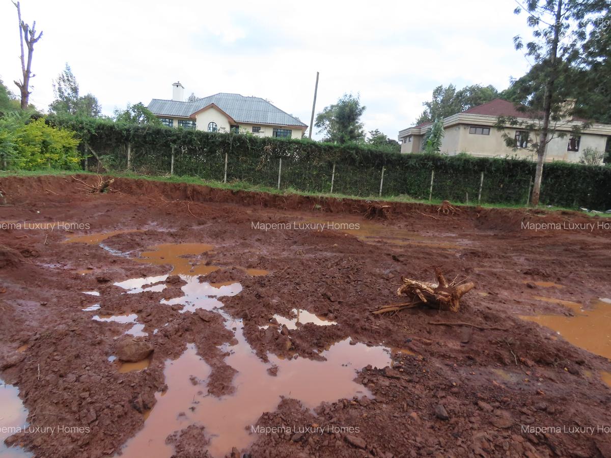 Residential Land at Mukinduri Road - 9
