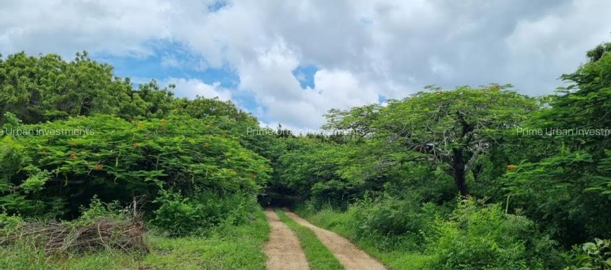 Land at Kuruwitu Beach Vipingo - 14