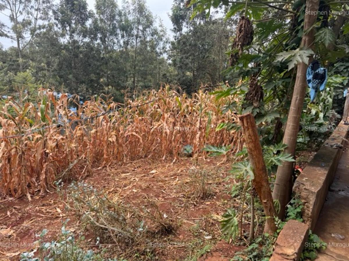 0.25 ac Land in Nyeri - 8