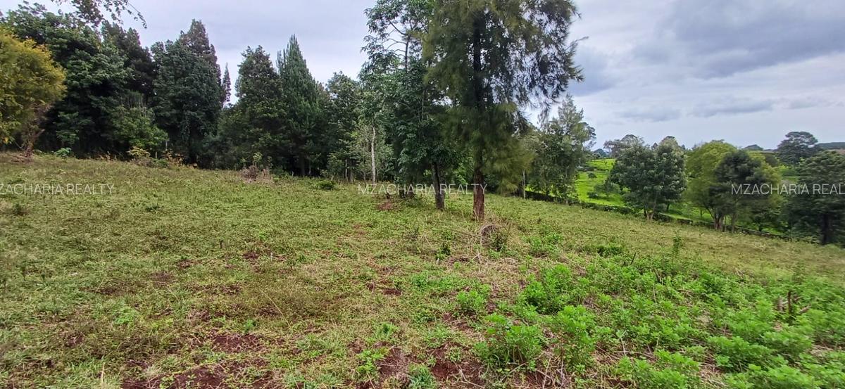 6 ac Land in Tigoni - 11