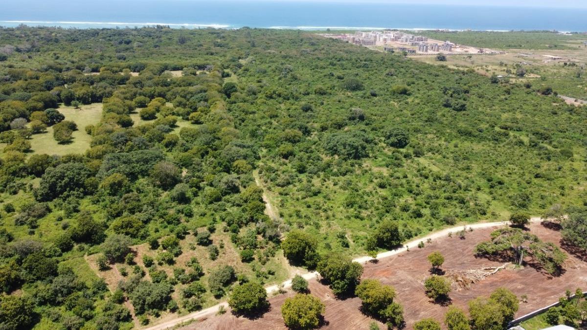 0.25 ac Land in Vipingo - 10