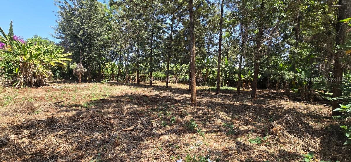 Residential Land at New Kitisuru - 8
